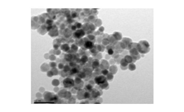 Imagen Estudio preclínico de nuevas estrategias terapéuticas en glioblastoma humano: utilización de nanopartículas como nuevo método de transporte de melatonina para la valoración in vitro de su efecto antitumoral en glioblastoma