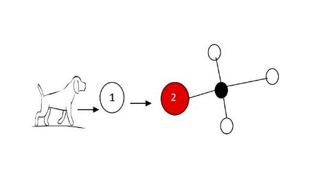 Imagen Rueda aromática de entrenamiento de detección para perros (detección de...