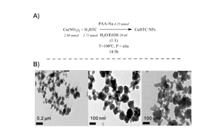 Imagen Diagnóstico de la enfermedad celiaca mediante el uso de nanopartículas