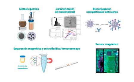Imagen Test Rápido de Diagnóstico para Neumonía Bacteriana