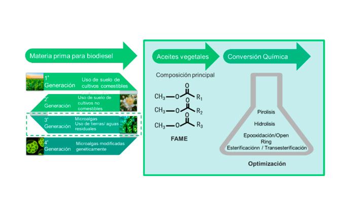 Imagen Optimización del proceso de transesterificación para la obtención de biodiesel a partir de aceites naturales (OPTRANSESTERAL)