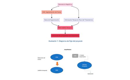 Imagen Modelado de la evolución del cáncer de mama mediante el procesado de...