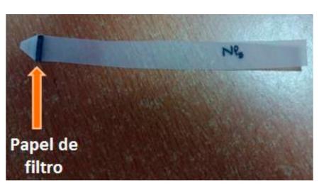 Imagen NanoSensor: detección y cuantificación de bacterias mediante...