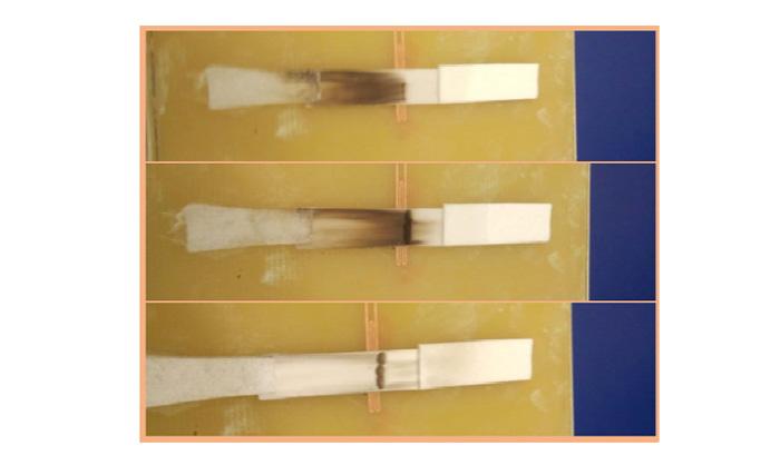 Imagen Nuevos biosensores electromagnéticos tipo Predictor®